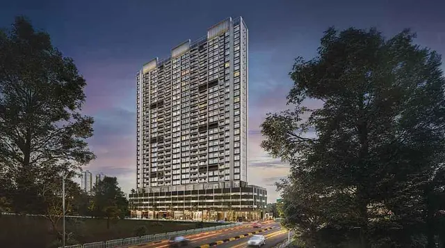 Mangroves-Elevation-Image-Evening