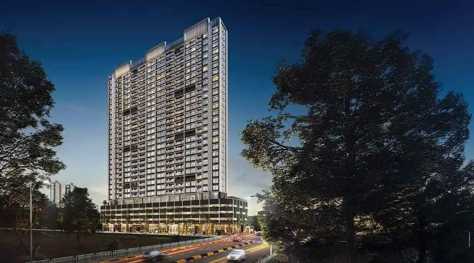 Mangroves-Elevation-Image-Night