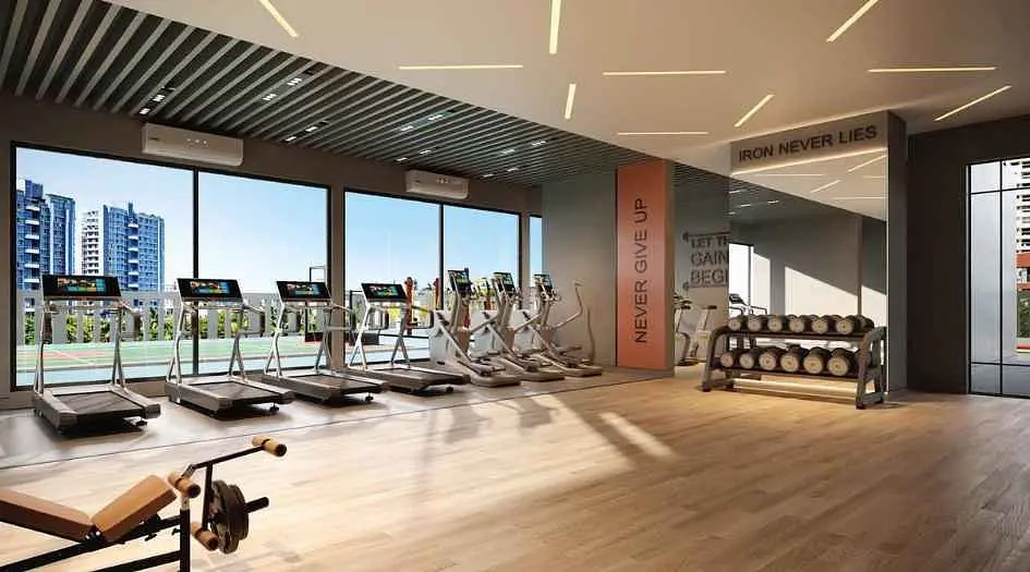 Disha-Elysium-gym